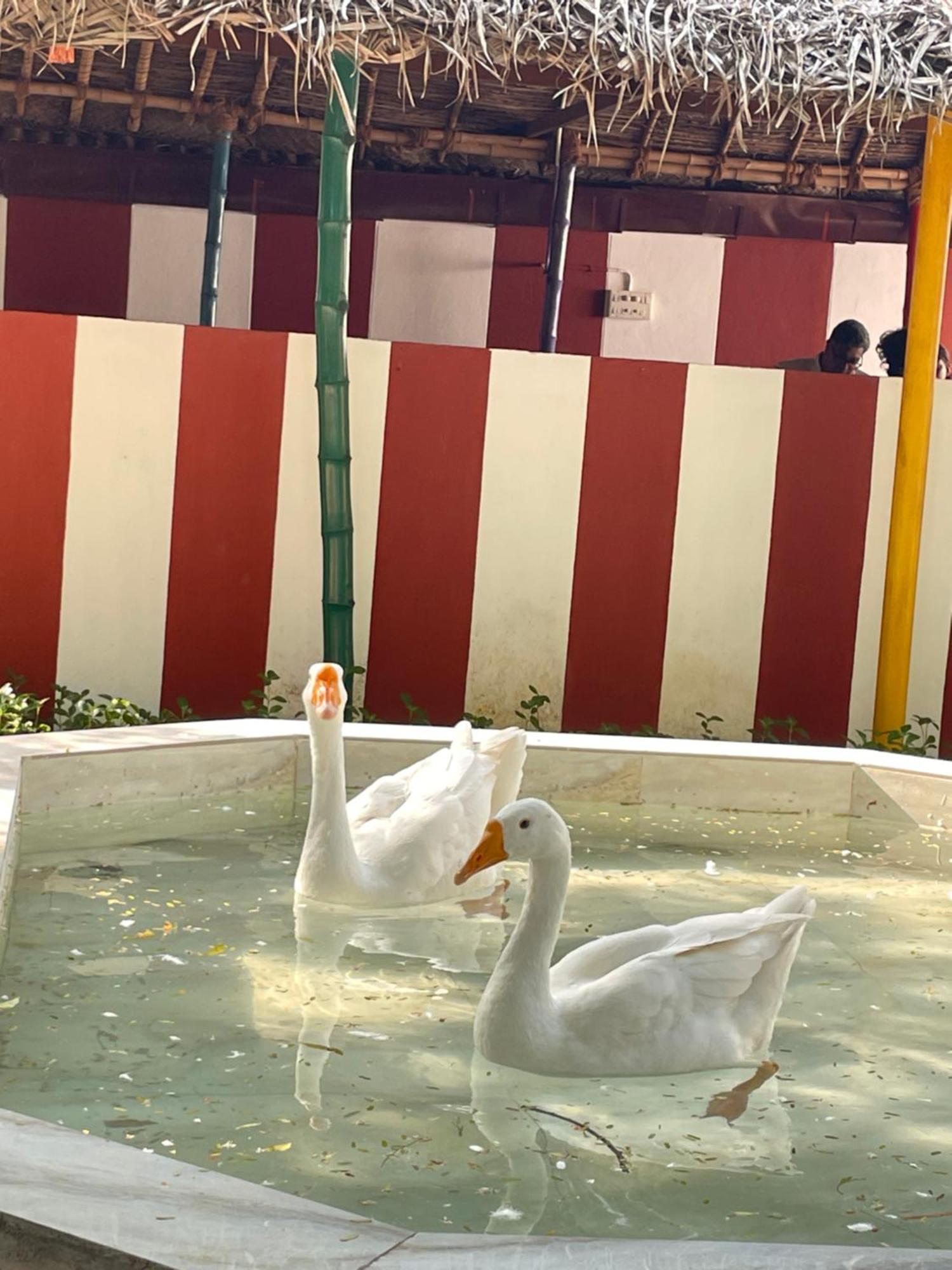 Chola Heritage Resort Karaikkudi Bagian luar foto