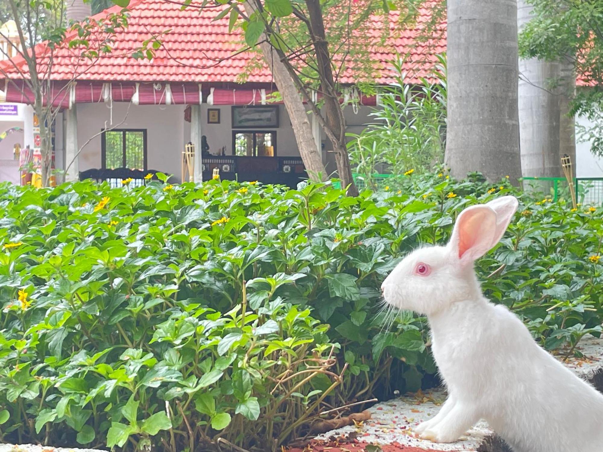 Chola Heritage Resort Karaikkudi Bagian luar foto