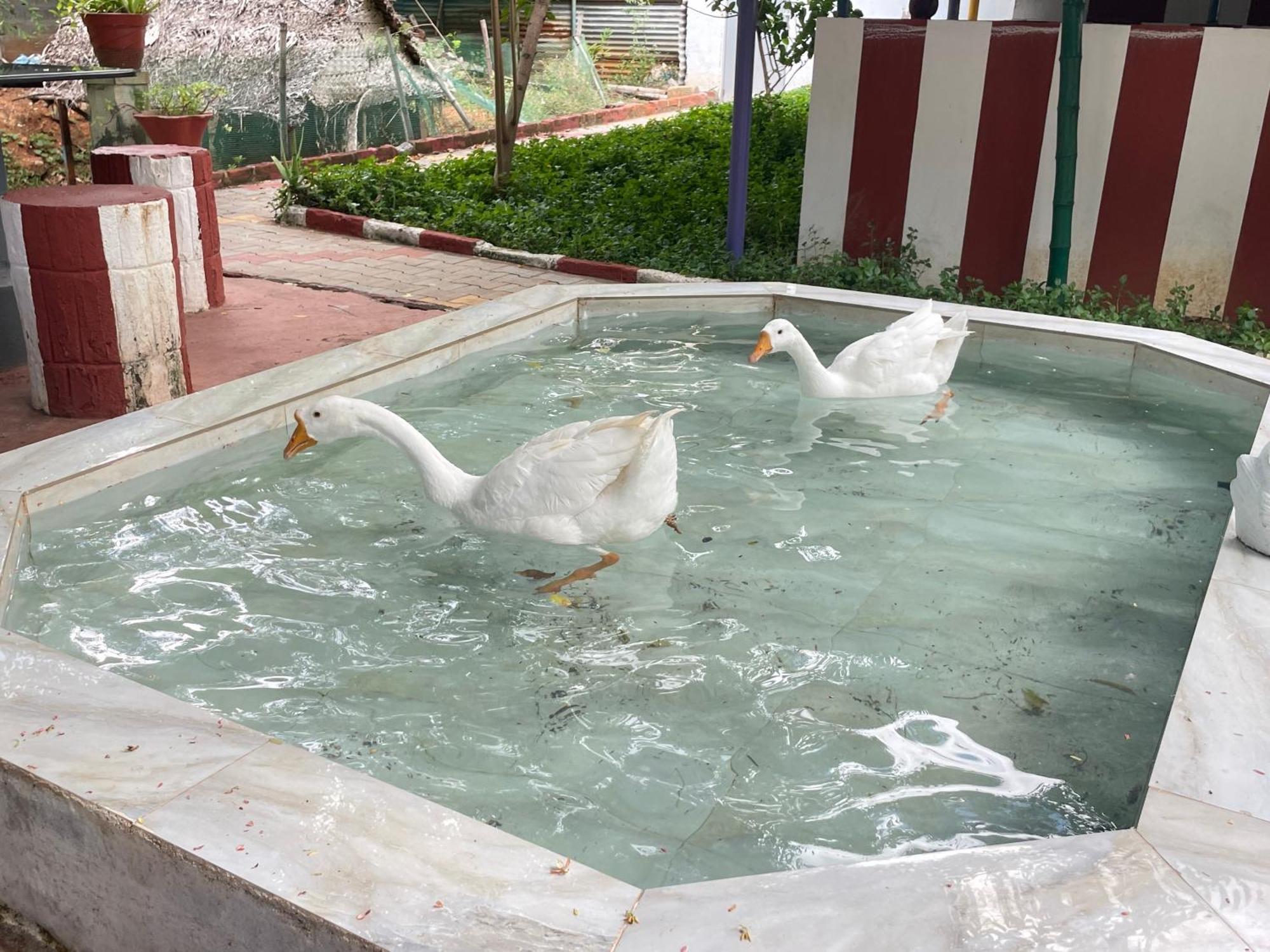 Chola Heritage Resort Karaikkudi Bagian luar foto